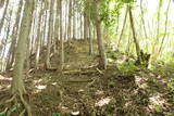 飛騨 広瀬城の写真