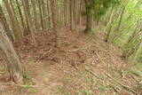 飛騨 広瀬城の写真