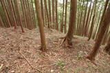 飛騨 広瀬城の写真