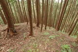 飛騨 広瀬城の写真