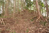 飛騨 広瀬城の写真