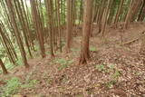 飛騨 広瀬城の写真
