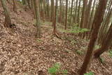飛騨 広瀬城の写真