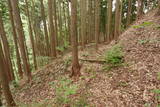 飛騨 広瀬城の写真