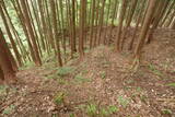 飛騨 広瀬城の写真