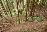 飛騨 広瀬城の写真