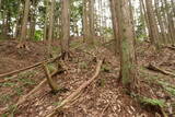 飛騨 広瀬城の写真