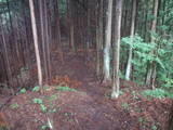 飛騨 広瀬城の写真