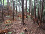 飛騨 広瀬城の写真