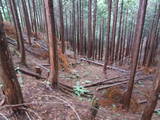 飛騨 広瀬城の写真