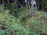 飛騨 広瀬城の写真