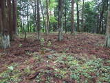 飛騨 広瀬城の写真