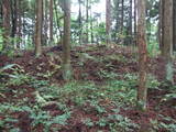 飛騨 広瀬城の写真