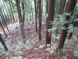 飛騨 広瀬城の写真