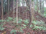 飛騨 広瀬城の写真