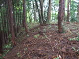 飛騨 広瀬城の写真