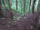 飛騨 広瀬城の写真