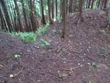 飛騨 広瀬城の写真