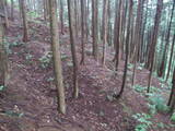 飛騨 広瀬城の写真