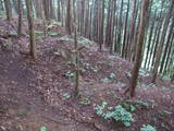 飛騨 広瀬城の写真