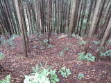 飛騨 広瀬城の写真