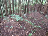 飛騨 広瀬城の写真