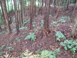飛騨 広瀬城の写真