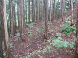 飛騨 広瀬城の写真