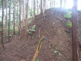 飛騨 広瀬城の写真