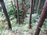 飛騨 広瀬城の写真