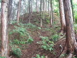 飛騨 広瀬城の写真