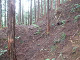飛騨 広瀬城の写真
