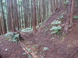 飛騨 広瀬城の写真