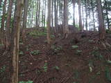 飛騨 広瀬城の写真