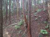 飛騨 広瀬城の写真