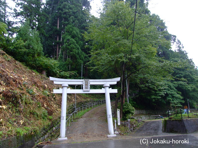 飛騨 八幡山城の写真