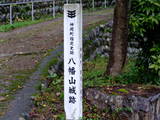 飛騨 八幡山城の写真