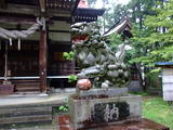 飛騨 八幡山城の写真