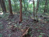 飛騨 宮地城の写真