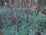 飛騨 宮地城の写真