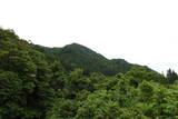飛騨 森ヶ城の写真