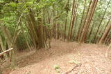 飛騨 森ヶ城の写真