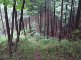 飛騨 鍋山城の写真