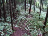 飛騨 鍋山城の写真