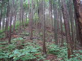 飛騨 鍋山城の写真