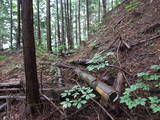 飛騨 鍋山城の写真