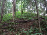 飛騨 鍋山城の写真