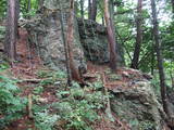 飛騨 鍋山城の写真