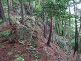 飛騨 鍋山城の写真