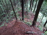 飛騨 鍋山城の写真